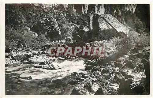 Cartes postales moderne Les Gorges du Tarn La perte du Tarn au pas de Saucy