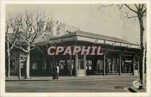 Cartes postales moderne Vichy Parc des Sources
