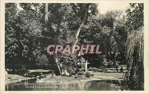 Cartes postales moderne Vichy Dans les Grands Parcs
