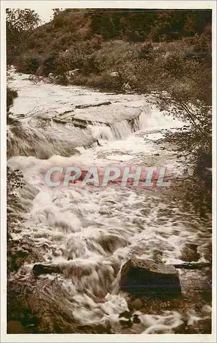 Cartes postales moderne Abbaye de la Pierre qui Vire Le Saut de la Truite