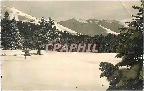 Cartes postales moderne Le Lioran La prairie des Saignes et le massif du Plomb du Cantal