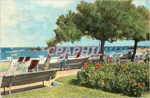 Cartes postales moderne Arcachon Cote d Argent Bords du Bassin