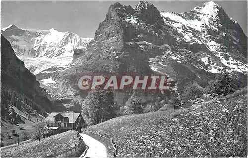 Cartes postales moderne Grindelwald Flescherwand mit Eiger