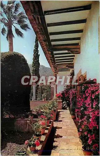 Cartes postales moderne Mallorca Baleares spana Valldemosa Jardin de la Celda de Chopin