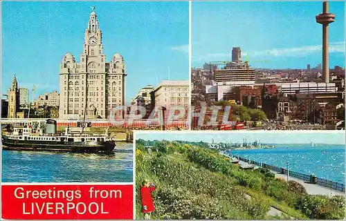 Cartes postales moderne Greetings from Liverpool Royal Liver Building St Johns Beacon