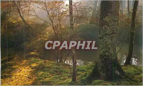 Cartes postales moderne Saiho ji temple