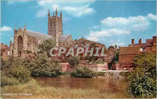 Cartes postales moderne Worcester Cathedral