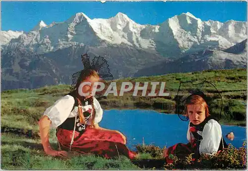 Cartes postales moderne Niederhorn Finsteraarhorn Eiger Monch Jungfrau
