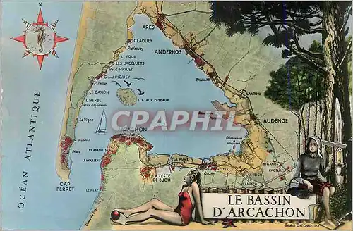 Cartes postales moderne Le Bassin d Arcachon