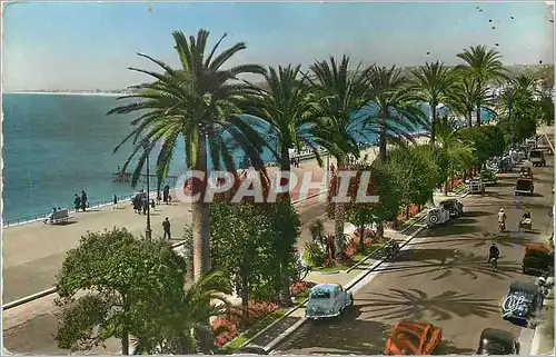 Cartes postales moderne Nice La Promenade des Anglais