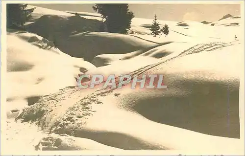 Cartes postales moderne Ski
