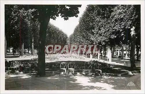 Cartes postales moderne Vichy Le Parc des Sources