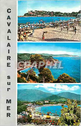 Cartes postales moderne La Cote d Azur Cavalaire sur Mer Var