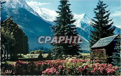 Cartes postales moderne Chamonix Mont Blanc L Aiguille du Midi Le Mont Blanc et l Aiguille du Gouter