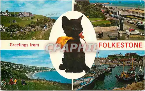 Cartes postales moderne Greetings from Folkestone  Chien Bateaux