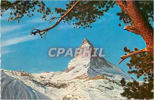 Cartes postales moderne Matterhorn Cervin