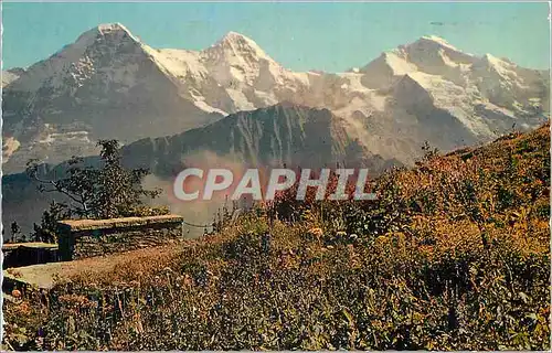Cartes postales moderne Schnige Piatte Alpengarten Eiger Monch u Jungfrau