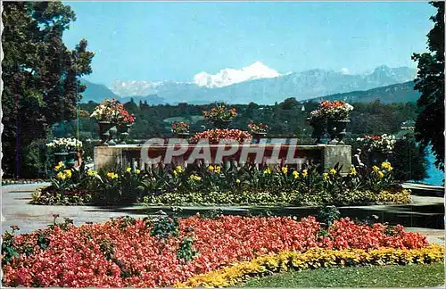 Cartes postales moderne Geneve le Mont Blanc vu du Parc de la Perle du lac