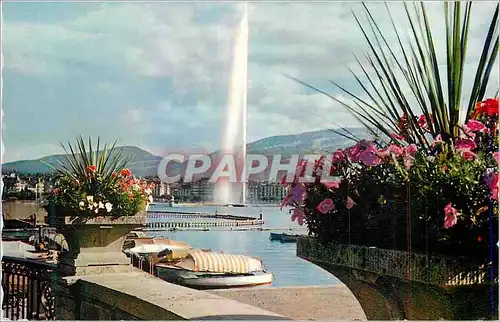 Cartes postales moderne Geneve Le jet d eau