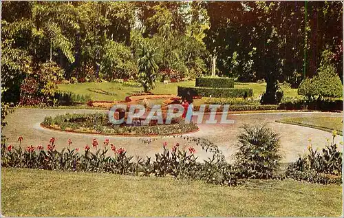 Cartes postales moderne Royal Botanic Gardens Peradeniya Ceylon