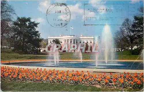 Cartes postales moderne The White House and Grounds Washington DC Home of the presidents