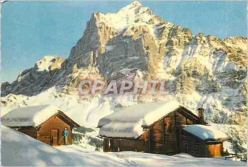 Cartes postales moderne Bei Grindelwald mit Wetterhorn