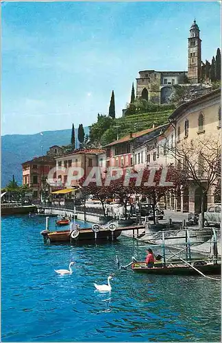 Cartes postales moderne Morcote Scorcio panoramico Vue partielle