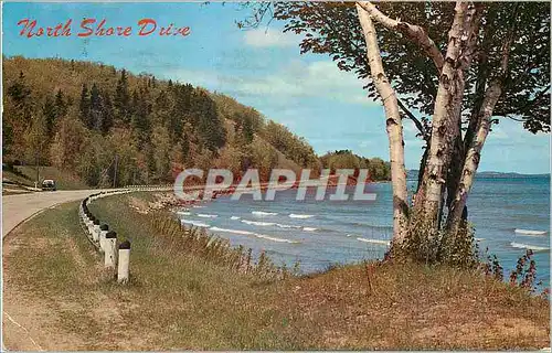 Cartes postales moderne North Shore Drive Adventure Highway