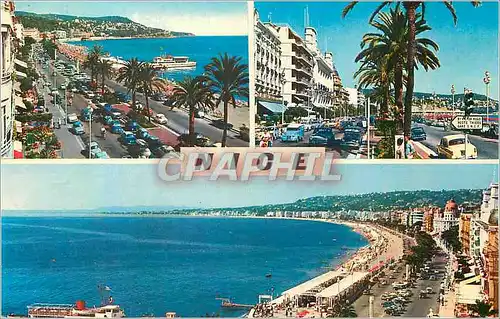 Cartes postales moderne La Cote d Azur Nice La Promenade des Anglais