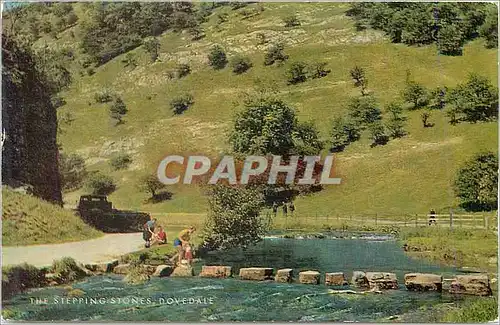 Cartes postales moderne The Stepping stones Dovedale
