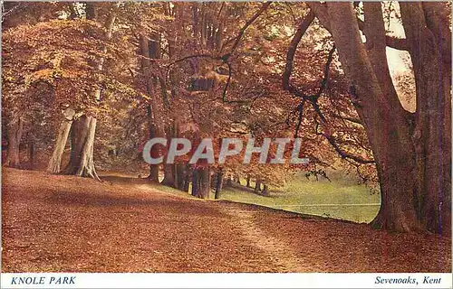 Cartes postales moderne Knole Park Sevenoaks Kent