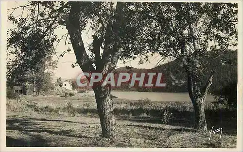 Cartes postales moderne Le Mont Dore Lac Chambon