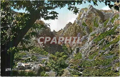 Cartes postales moderne En Parcourant Le Languedoc Environs de Lamalou les Bains Herault