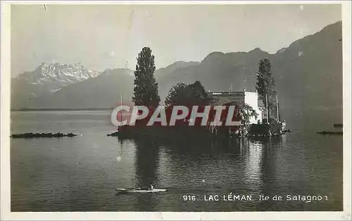 Cartes postales moderne Lac Leman Ile de Salagno