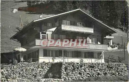 Cartes postales moderne Chalet Anita Adelboden