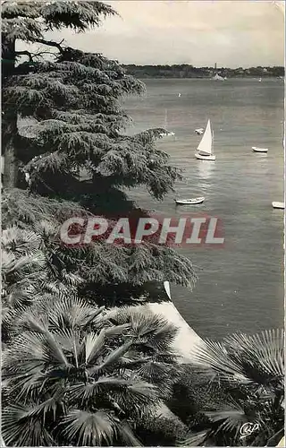 Cartes postales moderne Dinard La Promenade du Clair de Lune
