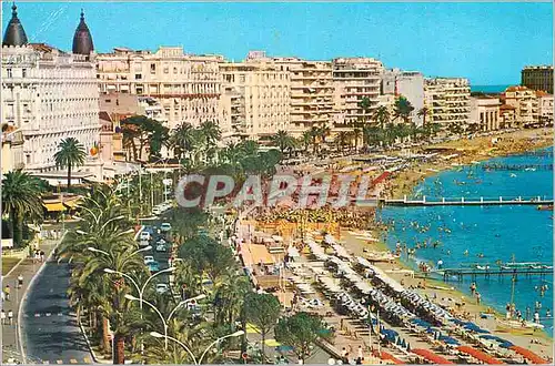 Cartes postales moderne Cannes Les Hotels La Plage et la Croisette