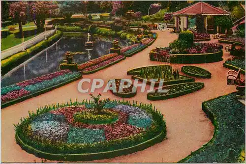 Cartes postales moderne Botanical Garden Side View