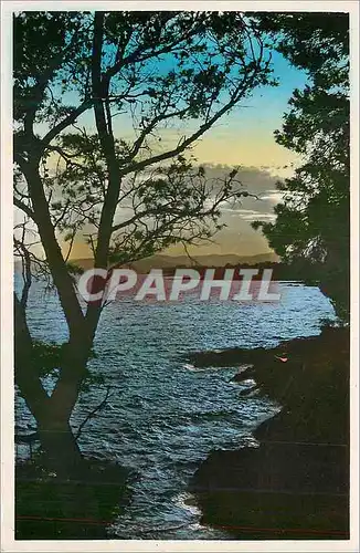 Cartes postales moderne Cote d'Azur Crepuscule