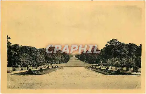 Cartes postales moderne Chateau de Compiegne L'Avenue des Beaux Monts