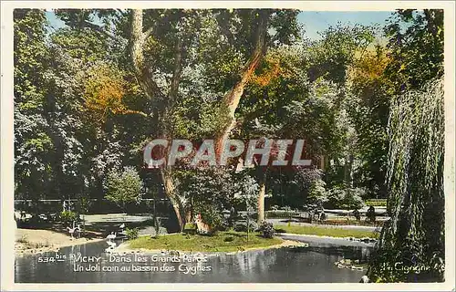 Cartes postales moderne Vichy Dans les Grands Parcs Un Joli coin au bassin des Cygnes