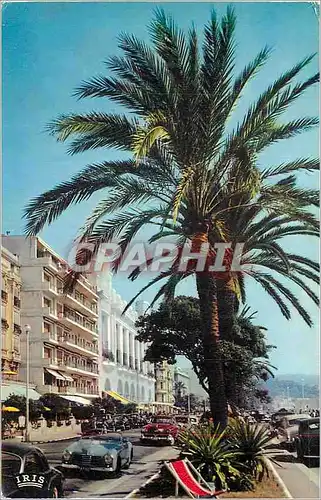 Cartes postales moderne Nice La Promenade des Anglais