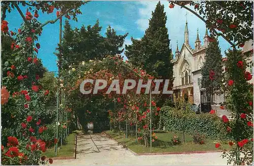 Cartes postales moderne Nice Les Jardins et le Monastere de Cimiez