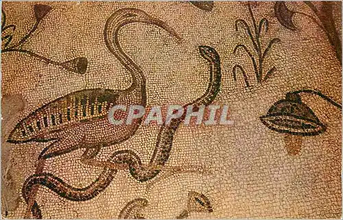 Cartes postales moderne Tabgha Church of the multiplication of the loaves and Fishes Mosaic Heron and serpent Snake