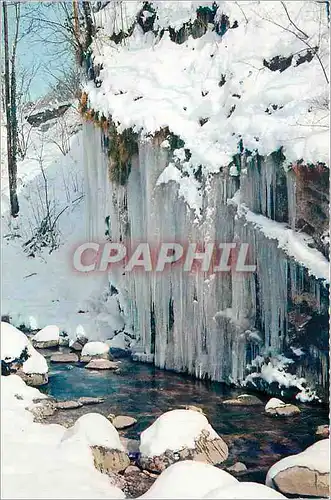Cartes postales moderne Paysage Hivernal