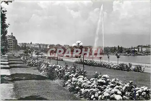 Cartes postales moderne Geneve Le Quai Gustave Ador et le jet d'eau (120 m)
