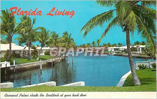 Cartes postales moderne Florida Living Cocoanut Palms Shade the Boatdock at your Back Door