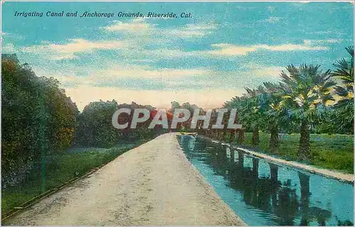 Cartes postales moderne Irrigating Canal and Anchorage Grounds Riverside Cal