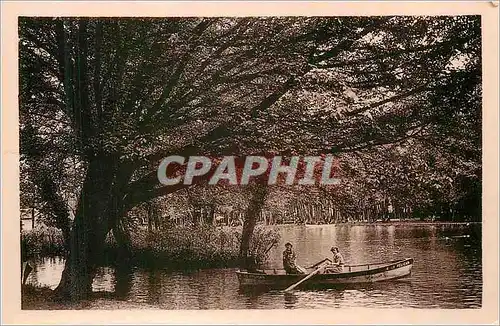 Cartes postales moderne Beaune (Cote d'Or) Parc de la Bouzaire