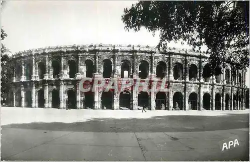 Cartes postales moderne Nimes (Gard) Les Arenes (Cote Sud)
